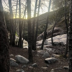 man above 2 (xoolice)