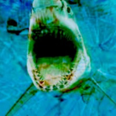 Shark Tank