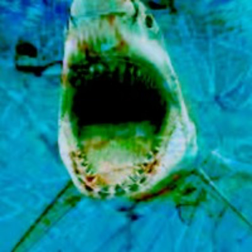 Shark Tank