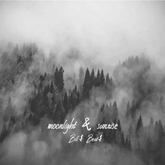 Moonlight & Sunrise