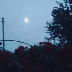 Come Through ft. Shiloh Dynasty