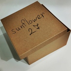 sunflower 27