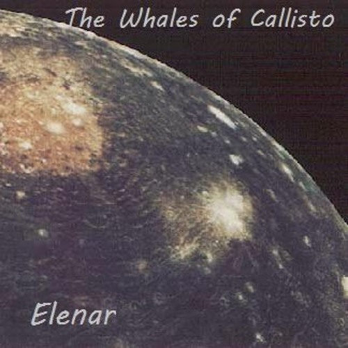 The Whales Of Callisto