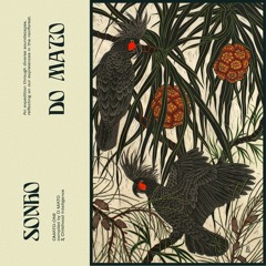 Various Artists - Sonho do Mato - OMATO-ONE (O MATO x Childhood Intelligence)