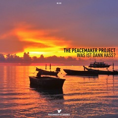 Was ist dann Hass? (Original Edit)