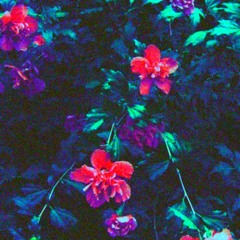 ｆｌoｗeｒ９７-ｆ​ｌ​o​ｗ​eｒ ｂ​ｒ​eaｋ