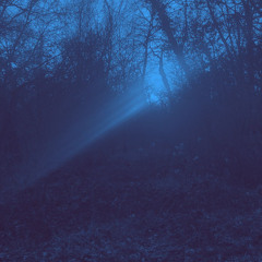 Demi-démon (prod. 8enma)