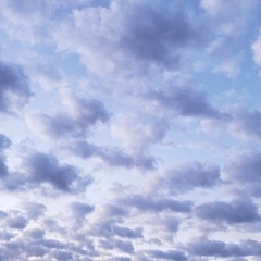 What's Real Pt.5 (Prod. Airrow)