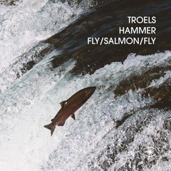 Troels Hammer - Fly Salmon Fly - s0588