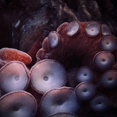 eftn | the tide (simone bauer remix)