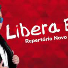 LIBERA ELA - VERSÃO BREGADEIRA | MC ROGERINHO | GR
