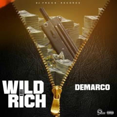 Demarco - Wild and Rich (Raw)