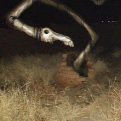 even if I wanted to I would never see you