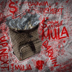 DarwinUpnext- Mula
