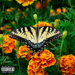 A Barrel Full of Gasoline & tttrd jerm - marigold (prod. NEKK)