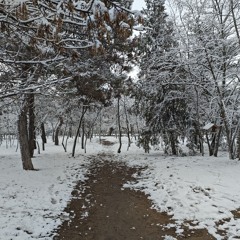 хуйня
