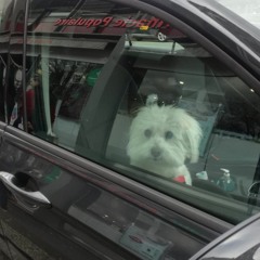 Traveling Away