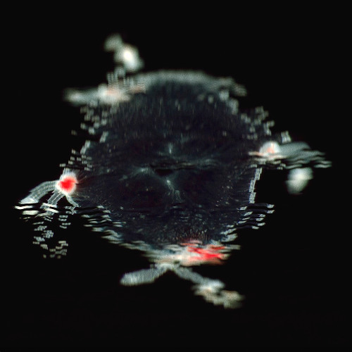 Undefined Threat (Preview)