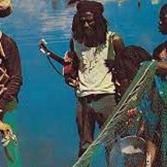 The Congos - Dont Blame It On Dub