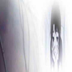 (CODE10)scalevillain,BenjaminGotBenz - Lilies (+ up sound by emo_prince)