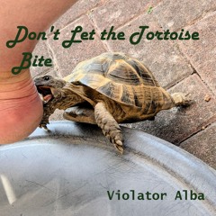 Don't Let the Tortoise Bite