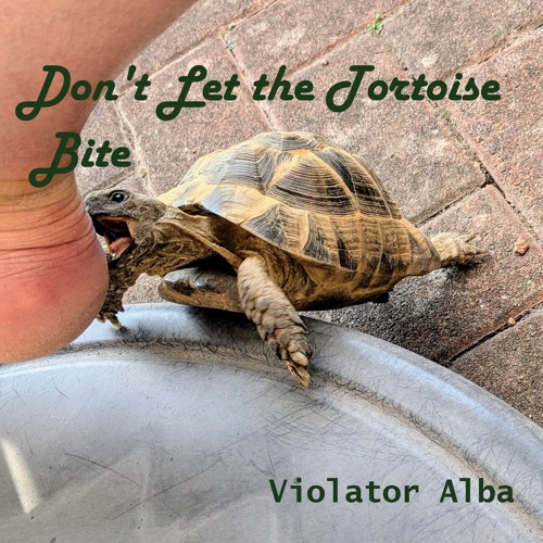 Don't Let the Tortoise Bite