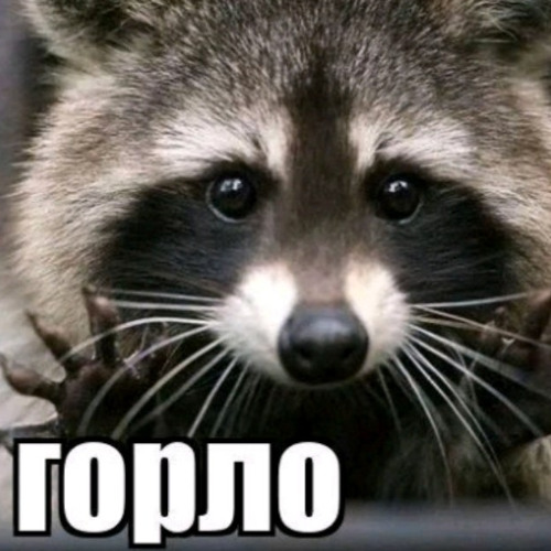 малый (ft. LIL.IVANOFF)