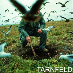 Tarnfeld