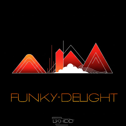 Funky Delight (808 Mix)