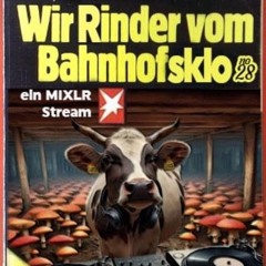 Madness - Wir Rinder Vom Bahnhofsklo Zoo #28