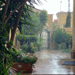 ياحظ بيت ربوعه .. مالك الهريسي