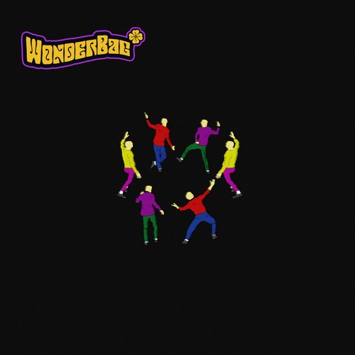 IWGH - WonderBag