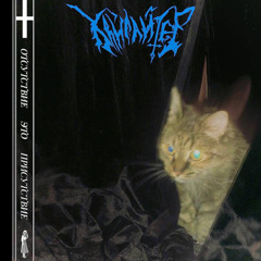 Ты играешь на гитаре, это просто охуенно