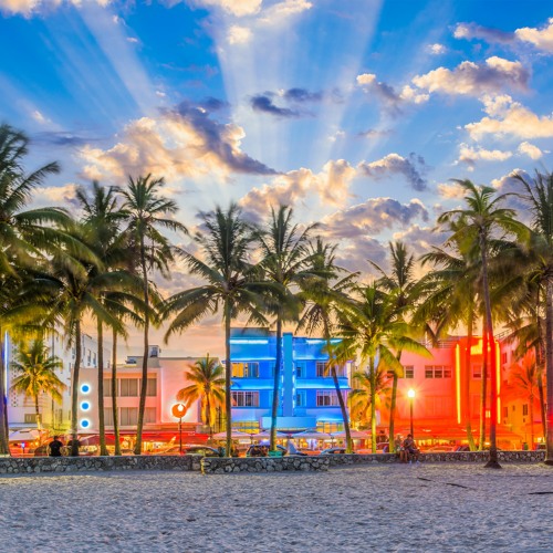 Mitchell Frederick // Miami Live Stream 6/19