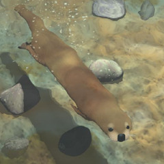 Surfing on Sine Waves