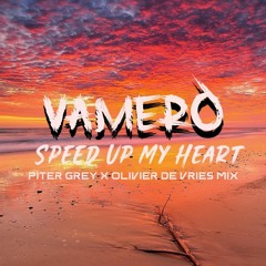 VAMERO - Speed Up My Heart ( Piter Grey x Olivier De Vries Mix )