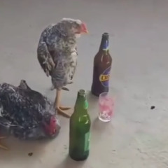 As veis aquilo que era pra ser, nem é...