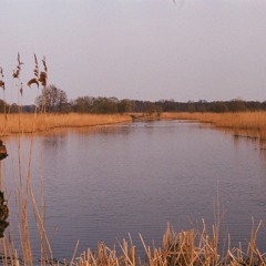 Weaving with sisters