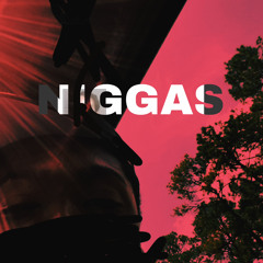 NIGGAS ft VOODOOCHILD #MTSW