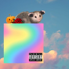 rude (big fat opossum remix)