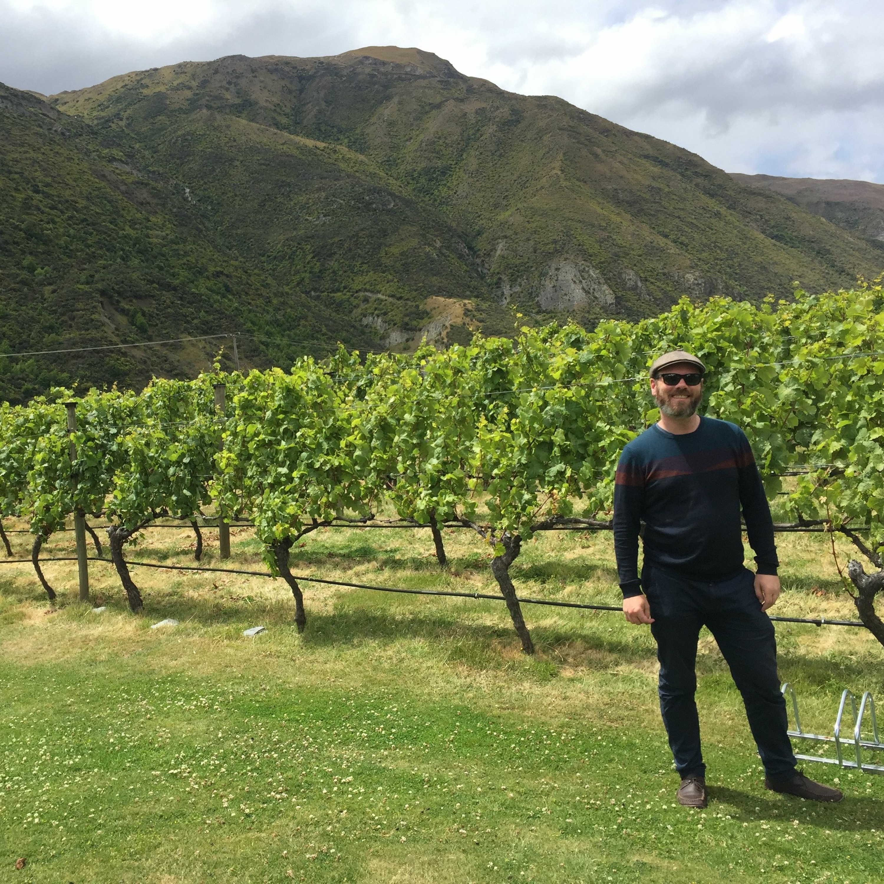 The Grape Varieties of the Loire Valley