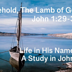 Behold the Lamb of God   John 1:29-34 February 9, 2025
