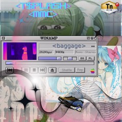 Baggage (Wint3r)