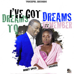 I've Got Dreams To Remember (feat. Sharrie)