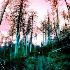 Tony Wright Da First