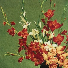 Des bouquets de fleurs pour ton âme w/ Sarah Mỹ & Vanda Forte (07/06/24)