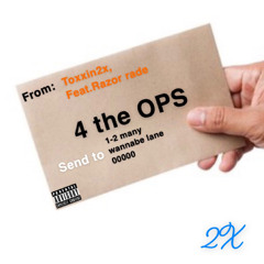 4 The OPS