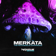 Merkäta - The Psychedelic Experience (Data Transmission Premier)