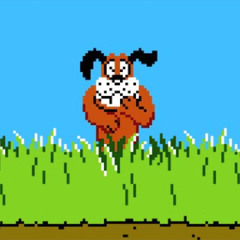 Duck Hunt freestyle