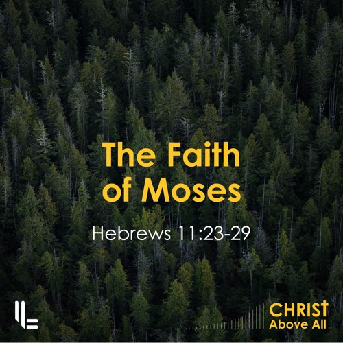 3 buch moses 11